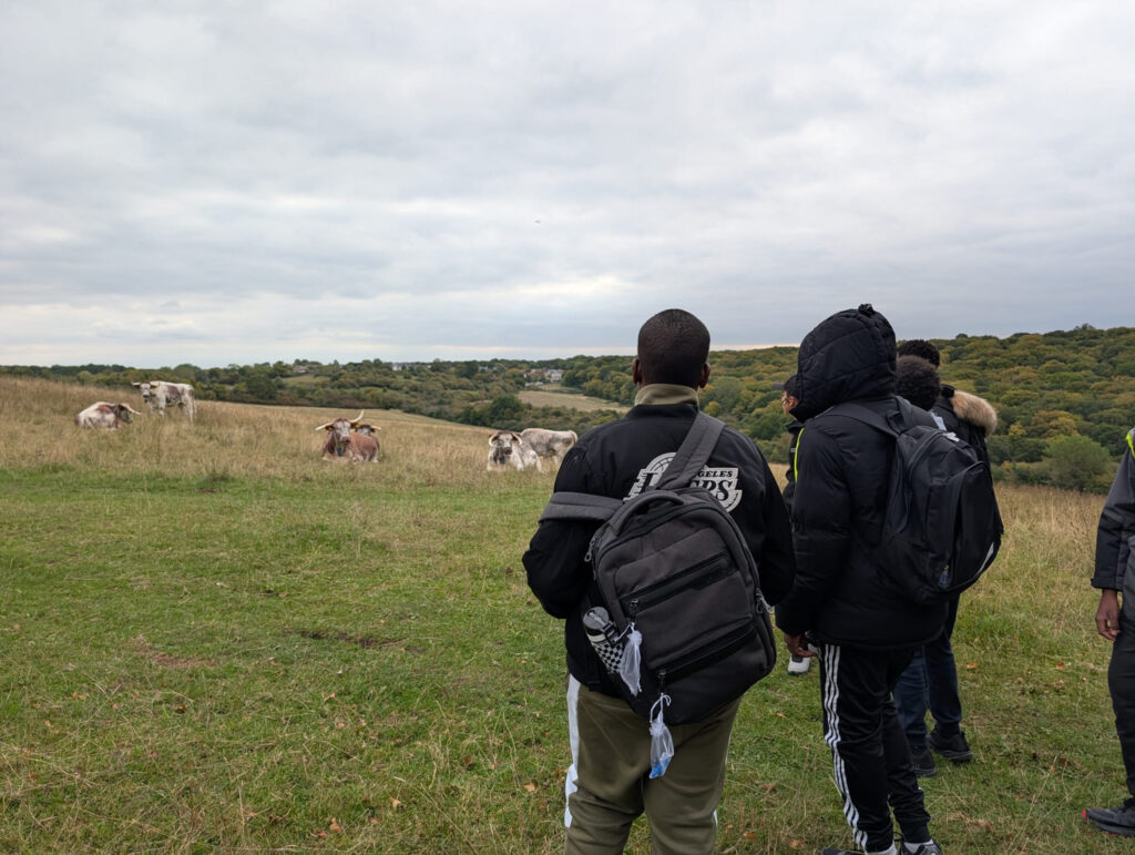 Three people wearing jackets and rucksacks stand on a grassy hillside, looking at a group of cows grazing in the distance, with rolling hills and cloudy sky in the background.