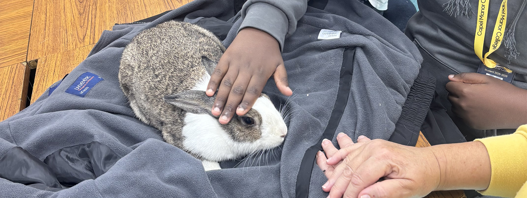 A brown and white rabbit sits on a grey blanket while two children and an adult gently stroke it with their hands. The scene appears to take place indoors, on a wooden table.