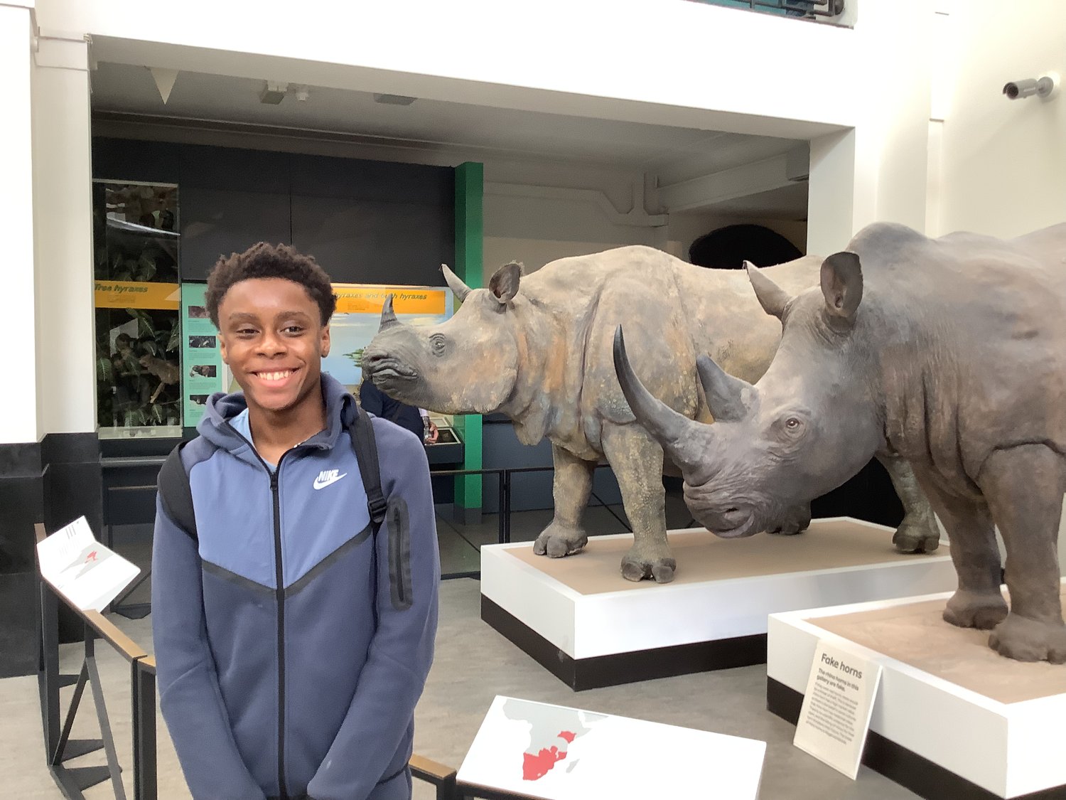 A smiling person stands indoors beside two large rhinoceros statues in a museum exhibit, with informational signs and animal displays visible in the background.