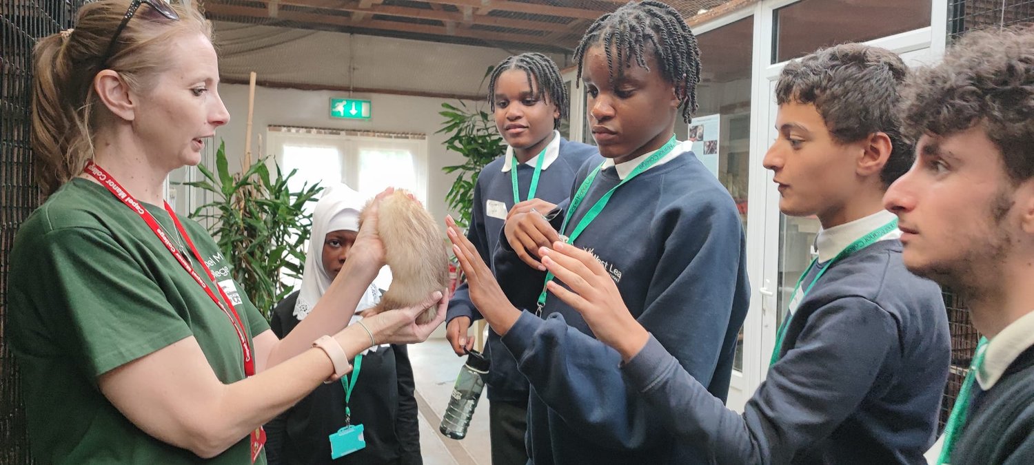 A woman holds a small animal whilst five pupils in school uniforms gently touch it. They are indoors, with plants and natural light in the background.